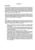 Konspekts 'SIA "BM Auto" un "Coral Latvia" misijas un vīzijas raksturojums', 1.