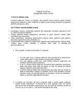 Konspekts 'SIA "BM Auto" un "Coral Latvia" misijas un vīzijas raksturojums', 2.