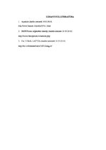 Konspekts 'SIA "BM Auto" un "Coral Latvia" misijas un vīzijas raksturojums', 3.