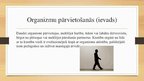 Prezentācija 'Organismu pārvietošanās veidi', 2.