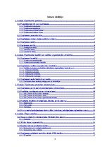 Biznesa plāns 'SIA "Flower & Fun Shop" biznesa plāns', 3.