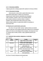 Biznesa plāns 'SIA "Flower & Fun Shop" biznesa plāns', 8.