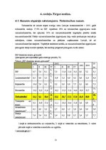 Biznesa plāns 'SIA "Flower & Fun Shop" biznesa plāns', 13.