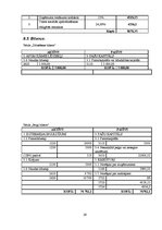 Biznesa plāns 'SIA "Flower & Fun Shop" biznesa plāns', 29.