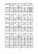 Biznesa plāns 'SIA "Flower & Fun Shop" biznesa plāns', 39.