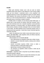 Referāts 'Antiglobālistu cīņa pret korporatīvu ekspluatāciju', 3.