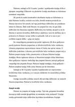 Referāts 'Kopējā ārējā un iekšējā drošības politika', 7.