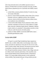 Referāts 'Kopējā ārējā un iekšējā drošības politika', 10.