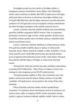 Referāts 'Kopējā ārējā un iekšējā drošības politika', 17.