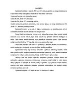 Diplomdarbs 'Produktu portfeļa analīze un pilnveide', 4.