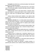 Diplomdarbs 'Produktu portfeļa analīze un pilnveide', 29.