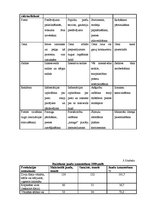 Diplomdarbs 'Produktu portfeļa analīze un pilnveide', 57.