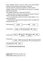 Diplomdarbs 'Produktu portfeļa analīze un pilnveide', 65.