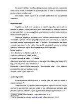 Diplomdarbs 'Produktu portfeļa analīze un pilnveide', 69.