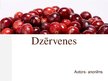 Prezentācija 'Dzērvenes', 1.