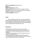 Konspekts 'Stafete ar florbola elementiem', 2.