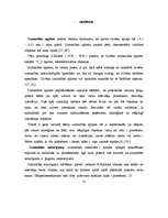 Diplomdarbs 'Uzmanības noturība 6-7 gadus veciem zēniem un meitenēm', 8.