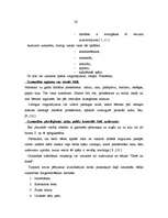 Diplomdarbs 'Uzmanības noturība 6-7 gadus veciem zēniem un meitenēm', 23.