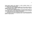 Referāts 'Eksporta plāns SIA "Rekor"', 3.