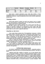 Referāts 'Eksporta plāns SIA "Rekor"', 8.