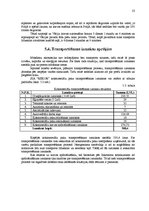 Referāts 'Eksporta plāns SIA "Rekor"', 22.