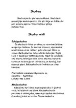Referāts 'Skudras un to veidi', 2.