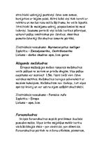 Referāts 'Skudras un to veidi', 3.