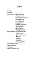 Referāts 'Skudras un to veidi', 15.