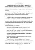 Konspekts 'Reālservitūti, galvojums un darba līguma izbeigšana', 3.