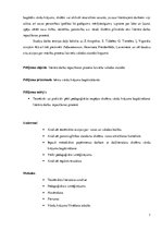 Referāts 'Pirmās klases skolēnu vārdu krājuma bagātināšana literāro darbu iepazīšanas proc', 7.