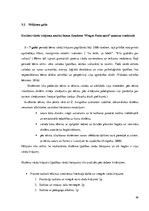 Referāts 'Pirmās klases skolēnu vārdu krājuma bagātināšana literāro darbu iepazīšanas proc', 36.