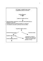 Referāts 'Tirgzinības plānošana tirdzniecības uzņēmumā', 8.