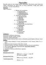 Konspekts 'Antibiotikas', 1.