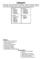 Konspekts 'Antibiotikas', 3.