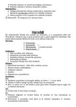 Konspekts 'Antibiotikas', 8.