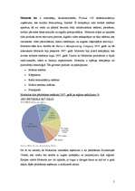 Referāts 'Telekomunikāciju uzņēmuma "Motorola Inc" mārketinga plāns', 2.