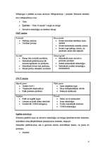 Referāts 'Telekomunikāciju uzņēmuma "Motorola Inc" mārketinga plāns', 4.