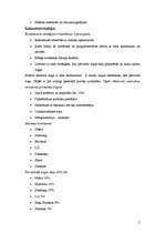 Referāts 'Telekomunikāciju uzņēmuma "Motorola Inc" mārketinga plāns', 5.