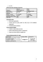 Referāts 'Telekomunikāciju uzņēmuma "Motorola Inc" mārketinga plāns', 6.