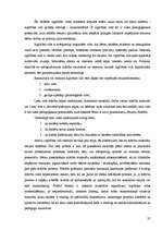 Diplomdarbs 'Sociālpedagoģija', 37.