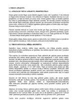 Referāts 'Nekustamā īpašuma tirdzniecība', 7.