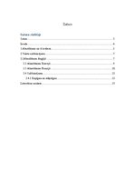 Referāts 'Absolūtisms un tā izpausmes Eiropā. Valstu salīdzinājums', 3.