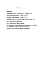 Referāts 'Absolūtisms un tā izpausmes Eiropā. Valstu salīdzinājums', 13.