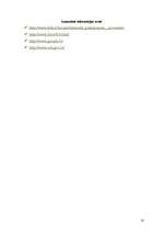 Referāts 'Nozares un produkta analīze', 10.