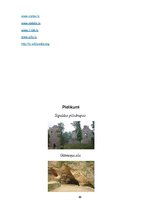 Referāts 'Tūrisma pārgājiena maršruts "Sigulda - Turaida - Sigulda"', 12.