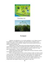 Referāts 'Tūrisma pārgājiena maršruts "Sigulda - Turaida - Sigulda"', 14.