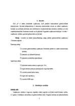 Referāts 'Mārketinga plāns', 3.