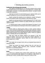Referāts 'Mārketinga plāns', 7.