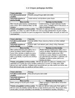 Prakses atskaite 'Agrīnās bērnības pedagoģijas prakse', 4.