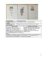 Prakses atskaite 'Agrīnās bērnības pedagoģijas prakse', 9.